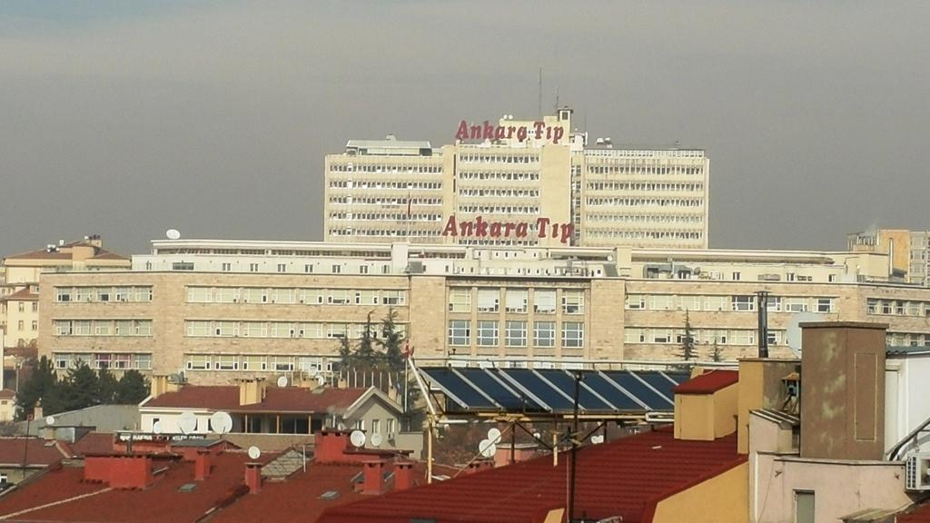 Doga Ankara